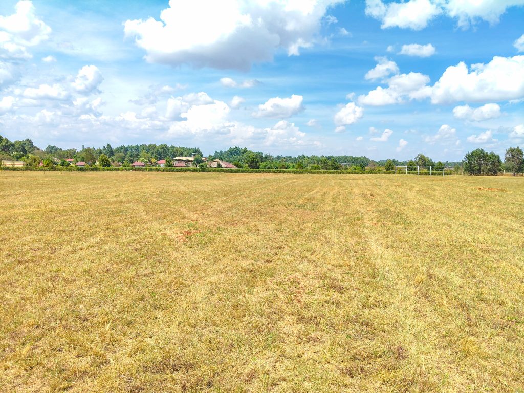 Freshly cut grass field forming the looping section of the Lobo Village cross-country course ahead of the Sirikwa Classic.